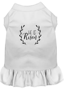 He Is Risen Screen Print Dog Dress White Xxl (18)